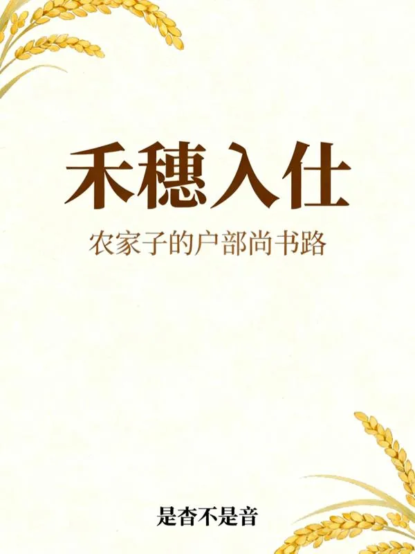 《农家子的户部尚书路》小说封面