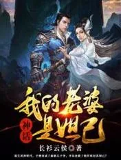《神话:我的老婆是妲己》小说封面