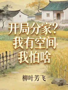 《开局分家？我有空间我怕啥！》小说封面