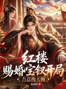 《红楼:赐婚宝钗开局,吾意挽天倾》小说封面