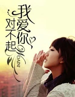《对不起,我爱你》小说封面
