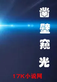 《凿壁窥光》小说封面