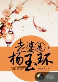 《老婆是杨玉环》小说封面
