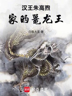 《汉王朱高煦家的鼍龙王》小说封面