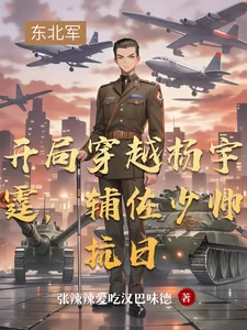 《开局穿越杨宇霆，辅佐少帅抗日》小说封面