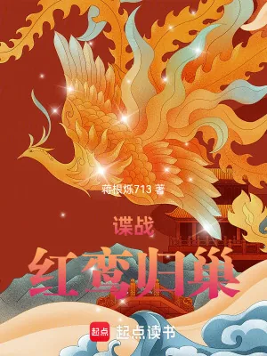《谍战：红鸾归巢》小说封面