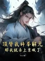 《顶替我科举解元，那我就杀上京城了》小说封面