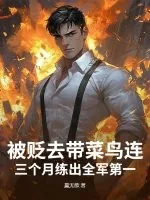 《被贬去带菜鸟连?三个月练出全军第一!》小说封面
