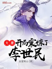 《大唐开局震惊了李世民》小说封面