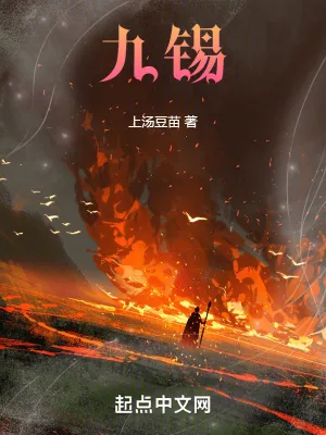 《九锡》小说封面