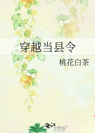 《穿越当县令》小说封面