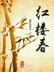 《红楼春》小说封面