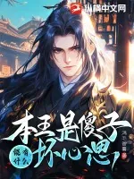 《本王是傻子，能有什么坏心思》小说封面