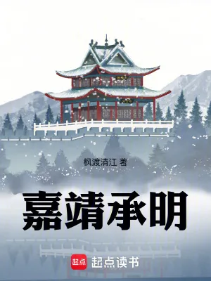 《嘉靖承明》小说封面
