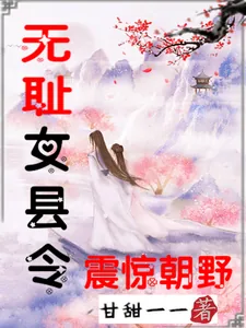 《无耻女县令震惊朝野》小说封面