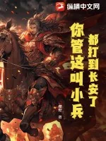 《都打到长安了，你管这叫小兵？》小说封面