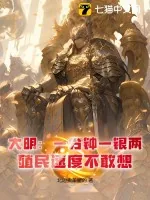《大明：一分钟一银两，殖民速度不敢想》小说封面