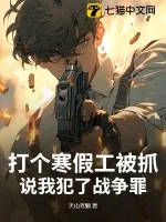 《打个寒假工被抓，说我犯了战争罪？》小说封面
