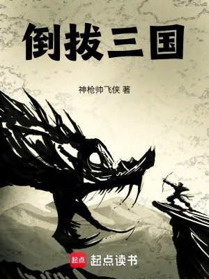 《倒拔三国》小说封面