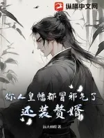 《你人皇幡都冒邪气了，还装赘婿？》小说封面