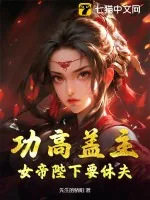 《功高盖主,女帝陛下要休夫》小说封面