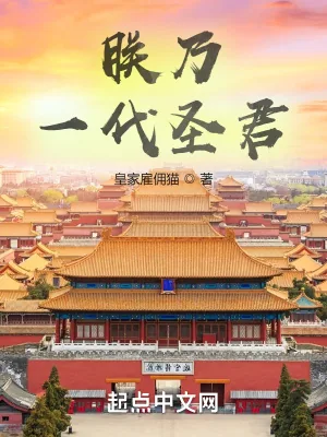 《朕乃一代圣君》小说封面