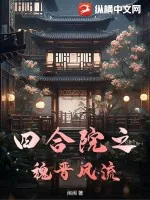 《四合院之魏晋风流》小说封面