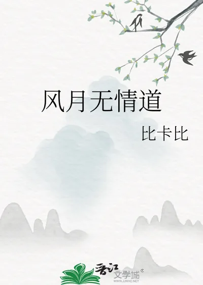 《风月无情道》小说封面