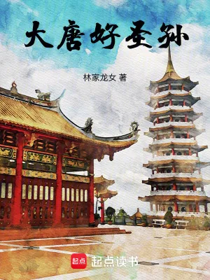 《大唐好圣孙!》小说封面