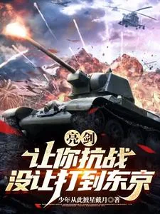 《亮剑：让你抗战，没让打到东京》小说封面