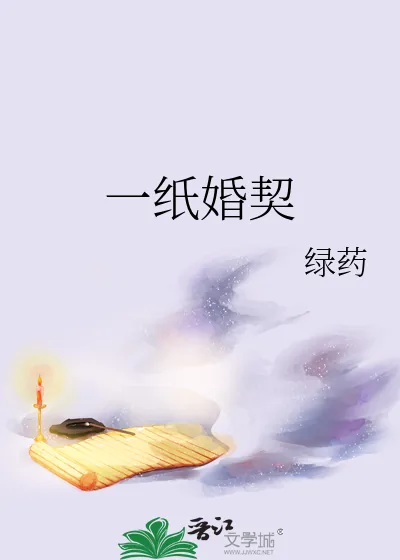 《一纸婚契》小说封面
