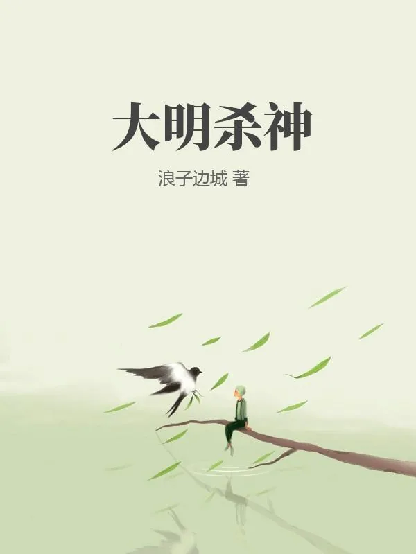 《大明杀神》小说封面