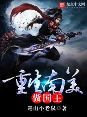 《重生南美做国王》小说封面