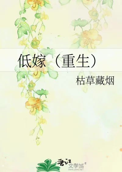 《低嫁（重生）》小说封面