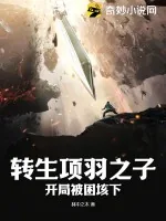 《转生项羽之子,开局被困垓下》小说封面