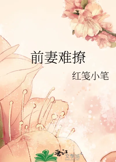 《前妻难撩》小说封面