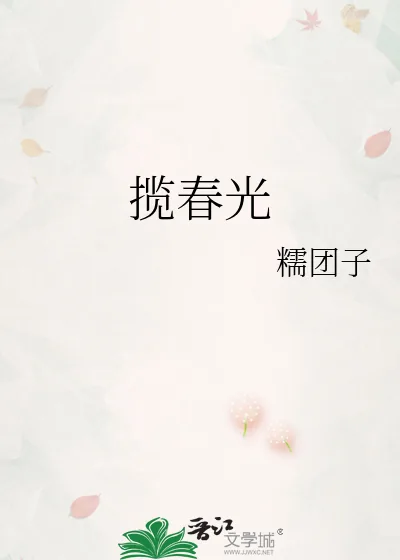 《揽春光》小说封面