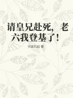 《请皇兄赴死，老六我登基了！》小说封面