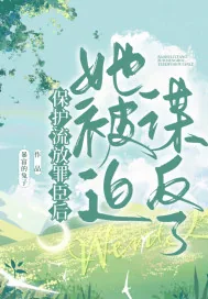 《保护流放罪臣后,她被迫谋反了》小说封面