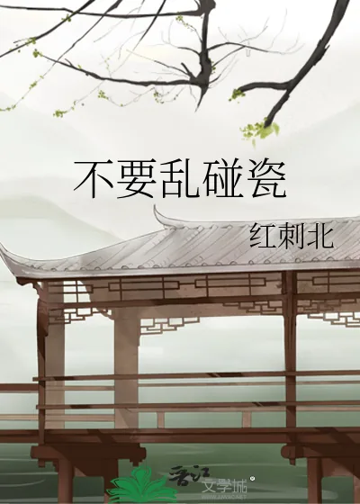 《不要乱碰瓷》小说封面