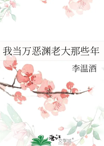 《我当万恶渊老大那些年》小说封面