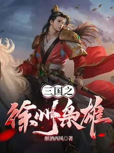 《三国之徐州枭雄》小说封面
