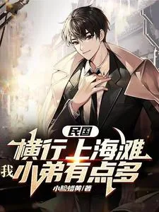 《民国:横行上海滩,我小弟有点多》小说封面