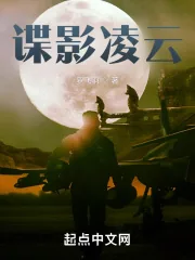《谍影凌云》小说封面