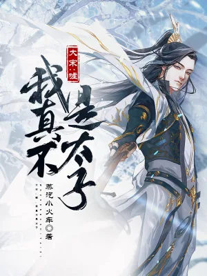 《大宋:嘘,我真不是太子》小说封面