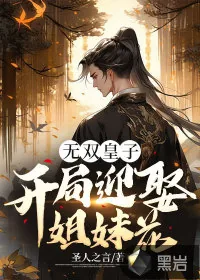 《无双皇子:开局迎娶姐妹花》小说封面