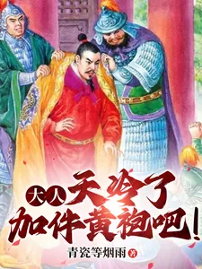 《大人,天冷了加件黄袍吧!》小说封面