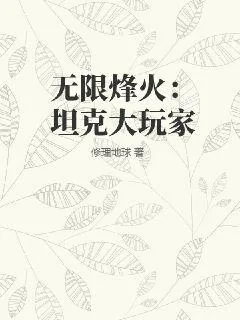 《无限烽火：坦克大玩家》小说封面