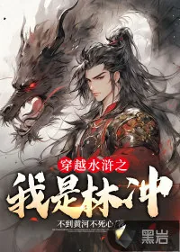 《穿越水浒之我是林冲》小说封面