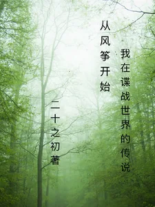 《从风筝开始：我在谍战世界的传说》小说封面